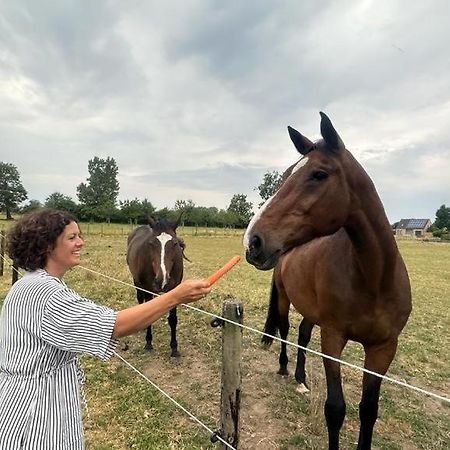 Вілла Bed & Bets! Geetbets Екстер'єр фото